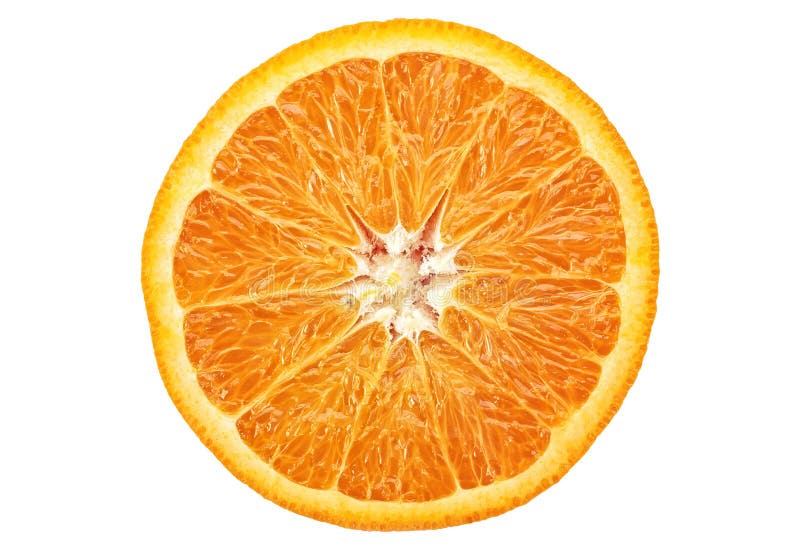 Orange Fruit. Round Slice Isolated On White Background. Top View Stock Image Image of tasty