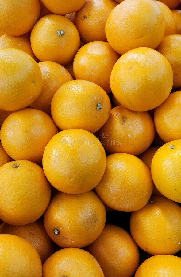 Orange Fruit in Supermarket Stock Photo Image of circle, fruit 262043542