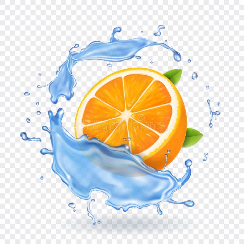 Orange Fruit Stock Illustrations 155,270 Orange Fruit Stock