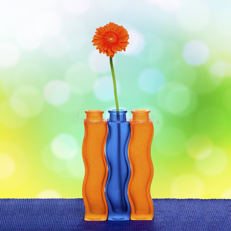 Orange Gerbera Flower in Vase on Black Background Stock Image Image