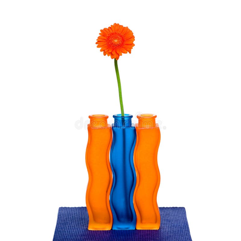 Orange gerbera flower in vase on white background