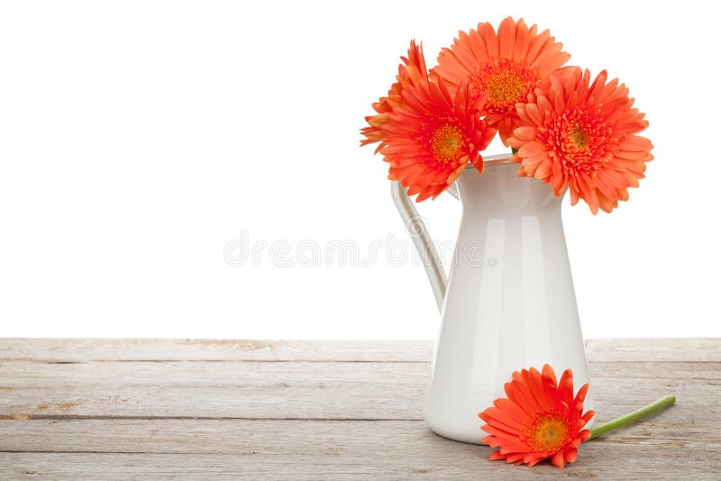 Orange gerbera flowers in pitcher