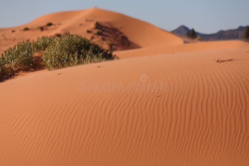 The Orange Glow of the Sand Stock Image - Image of desert, sandy: 17678205