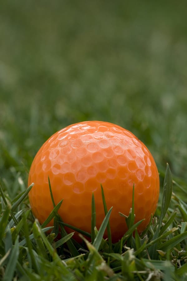 Orange Golf Ball stock image. Image of golf, game, orange 23300669
