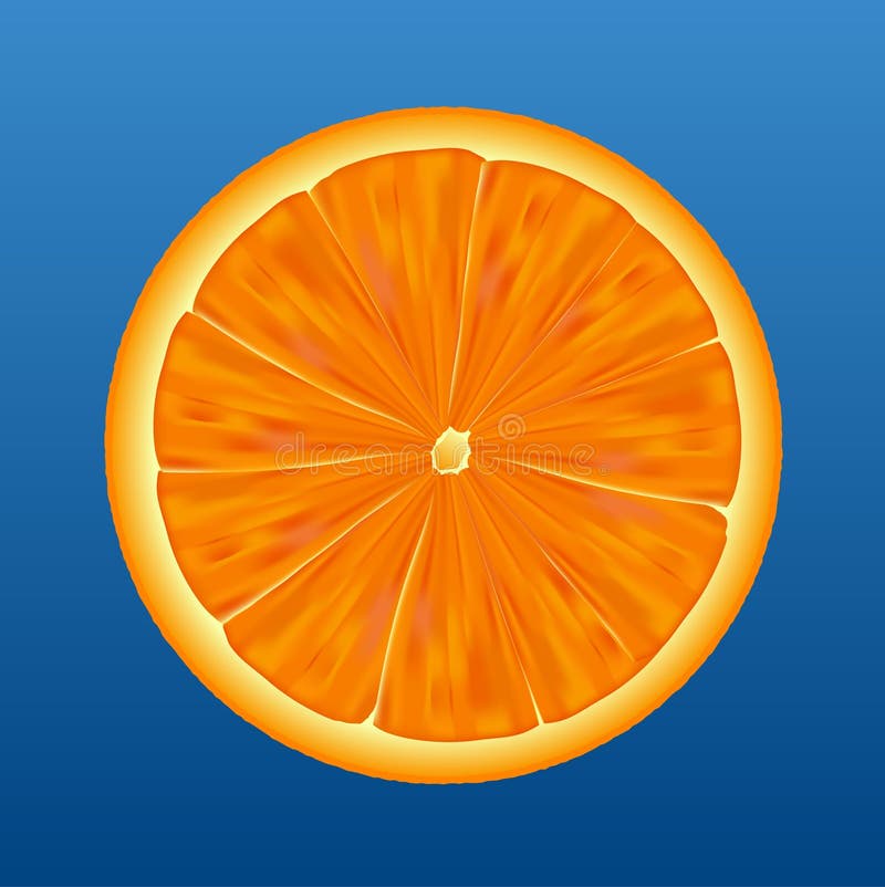 Orange half - vector stock vector. Illustration of fruits - 1638962
