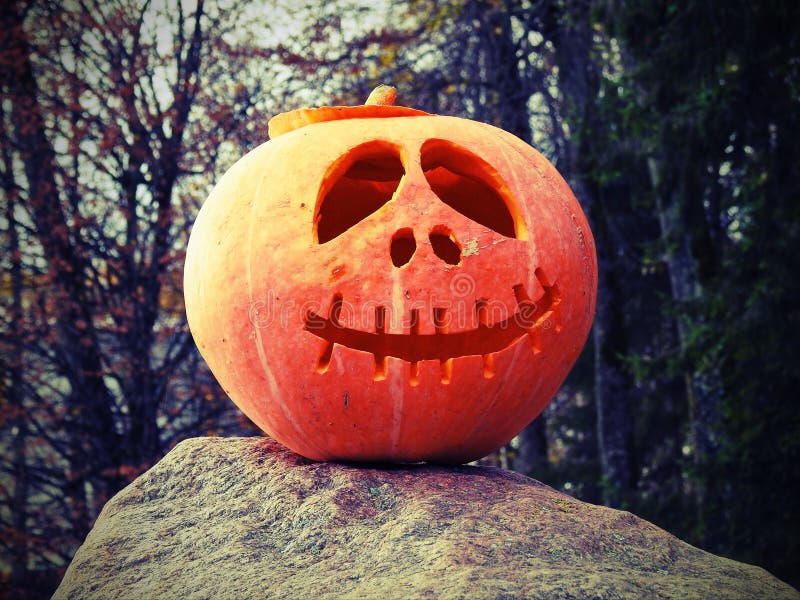  Orange  halloween  pumpkin  stock photo Image of autumn 