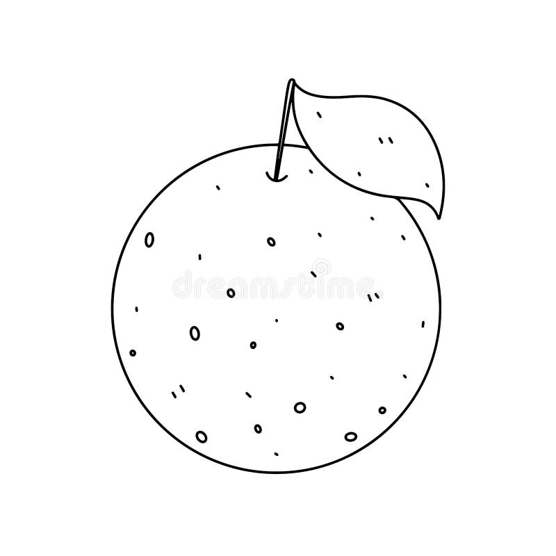 Orange in Hand Drawn Doodle Style. Vector Illustration Isolated on