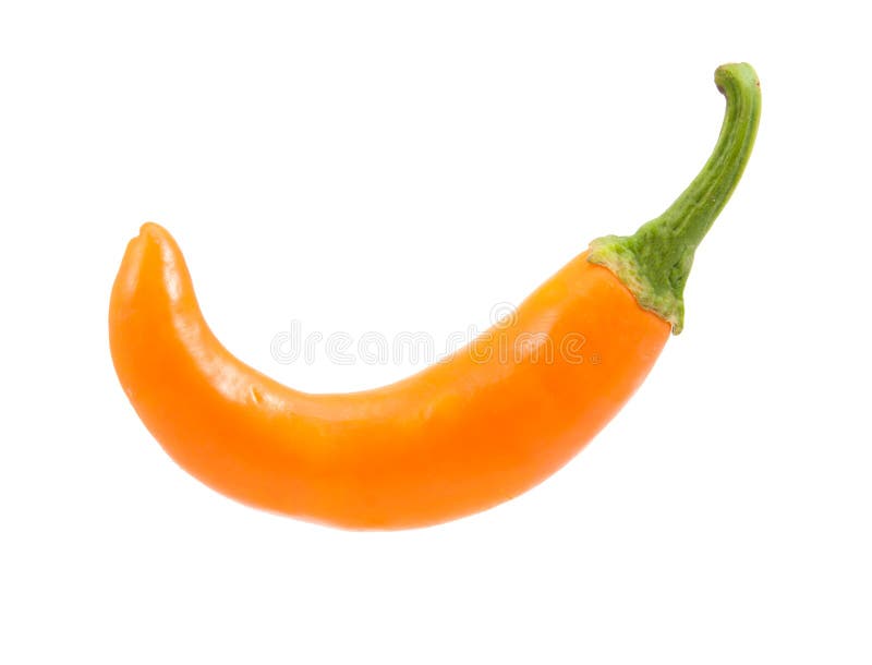 Orange Hot Chili Pepper Isolated Stock Photo Image of object, bell
