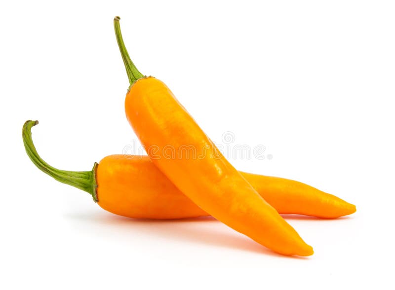 Orange Hot Chili Pepper Isolated Stock Image Image of freshness