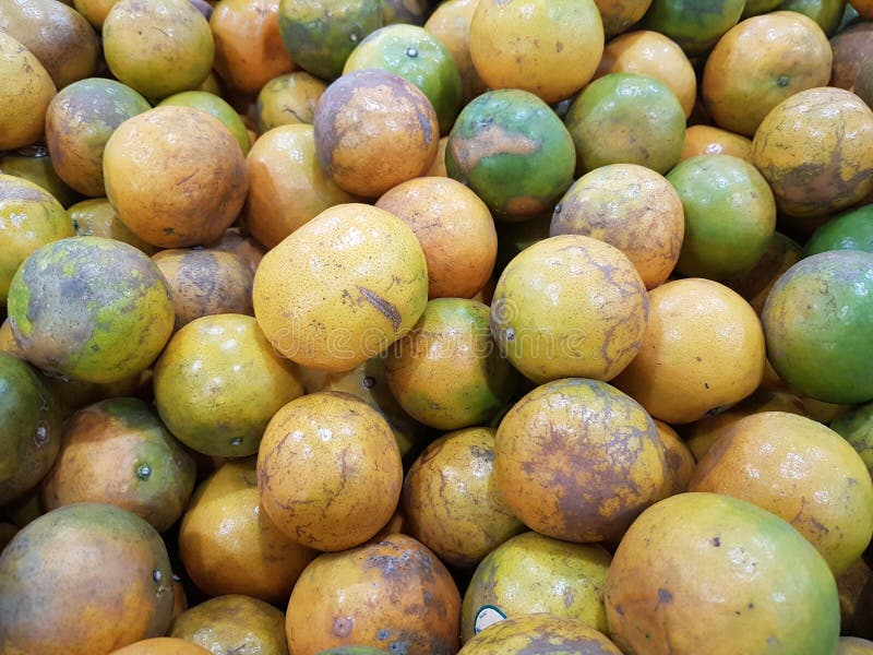 Orange ist eine Frucht, die wertvoll und für Gesundheit gut ist Es hat hohes Vitamin C stockfotos Orange ist eine Frucht, die wertvoll und für Gesundheit gut ist Es hat hohes Vitamin C stockfotos