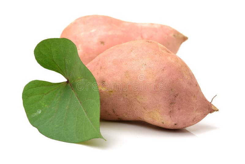 Kumara (Sweet Potato) stock photo. Image of tuber, vine 13576352