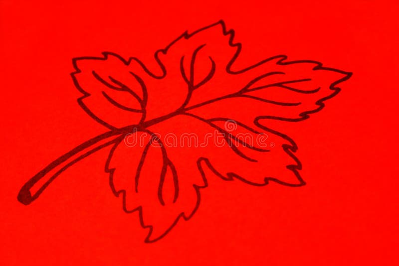 Orange leaf drawing stock photo. Image of seasonal, vivid 6955548