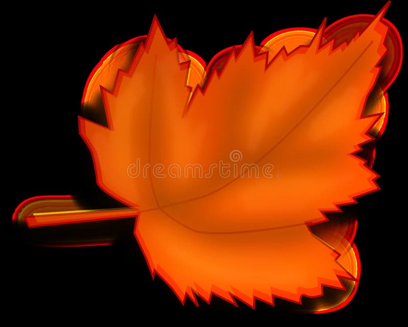 Orange, Leaf, Flower, Petal Picture. Image 95522963