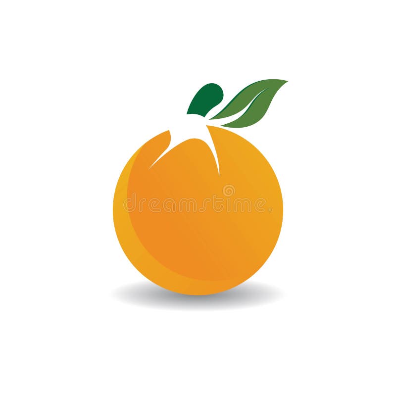 Orange logo design stock vector. Illustration of isolated 250486767