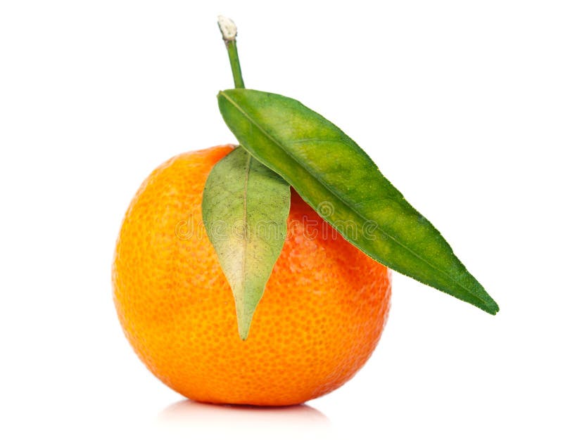 Orange mandarin