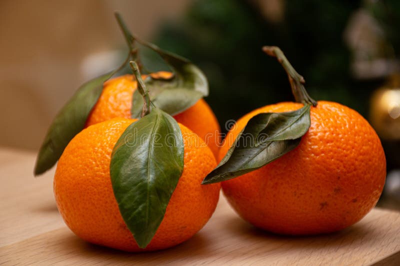 Orange Mandarin on Christmas Tree Background Stock Photo Image of