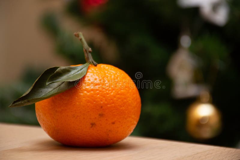 Orange Mandarin on Christmas Tree Background Stock Image Image of