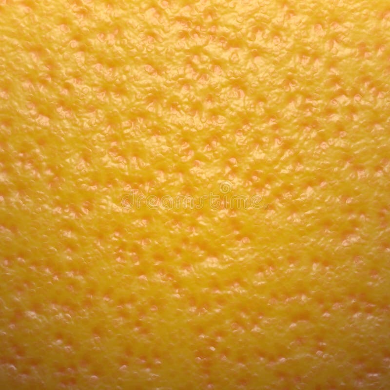 Orange or Mandarin Texture [01] stock image