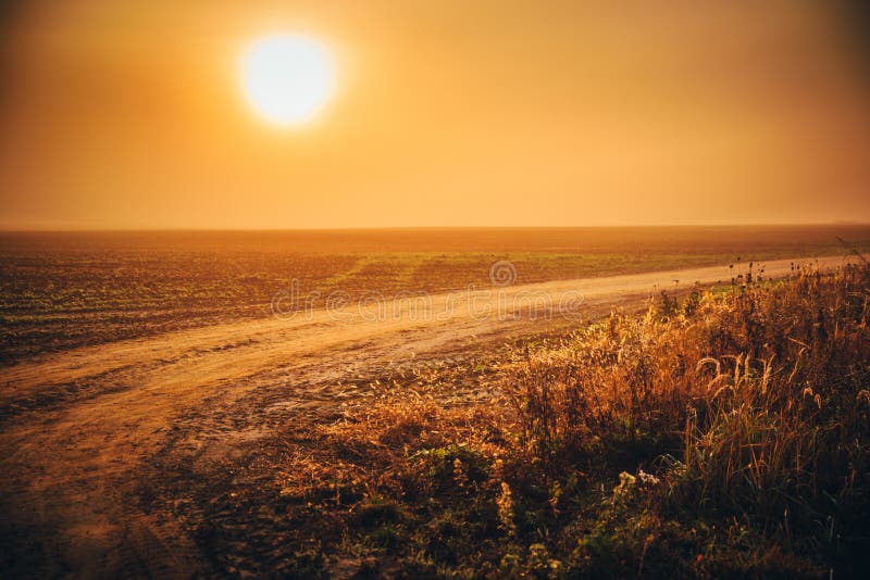 Oranžová hmlistá ranná krajina. Jesenná scenéria ráno