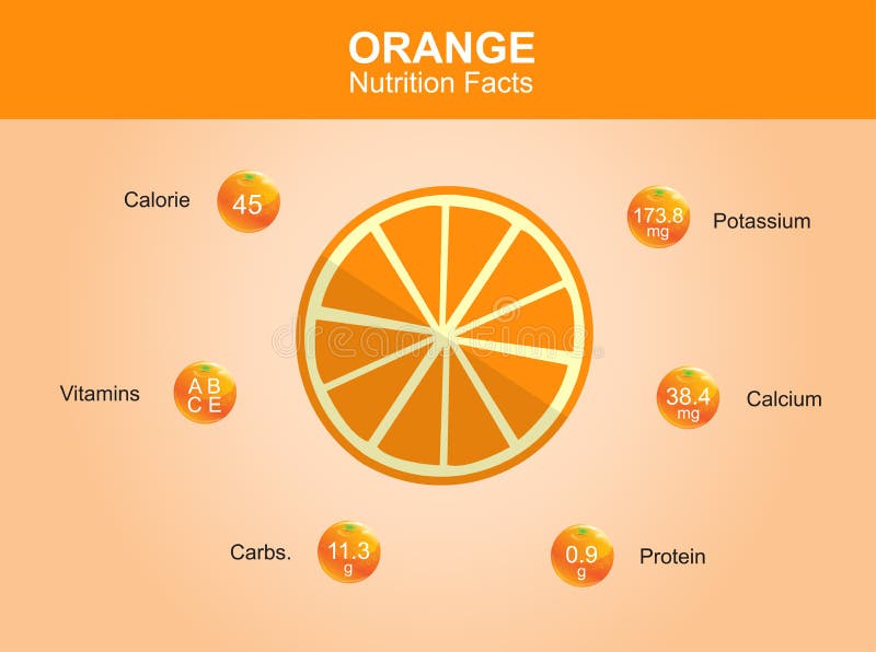 Orange Nutrition Facts Orange Fruit With Information Orange Vector Stock Vector Image 55122524 orange-nutrition-facts-orange-fruit-with-information-orange-vector-stock-vector-image-55122524