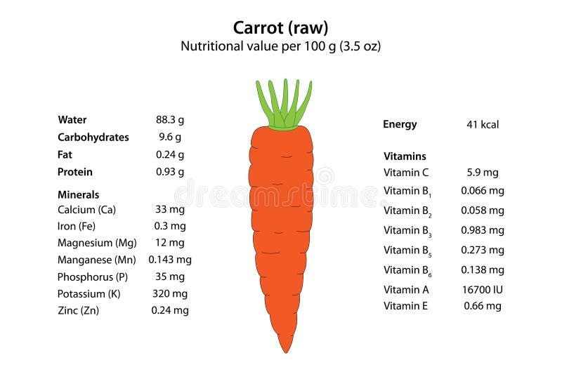 Carrot raw Nutritional Value Per 100 G 3 5 Oz Stock Vector Illustration Of Source carrot-raw-nutritional-value-per-100-g-3-5-oz-stock-vector-illustration-of-source