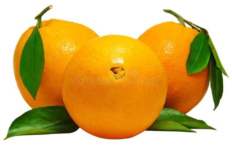 Orange nya frukter arkivfoton