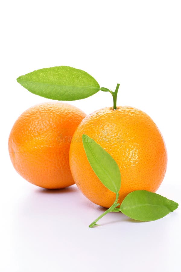 Orange nya frukter arkivbilder