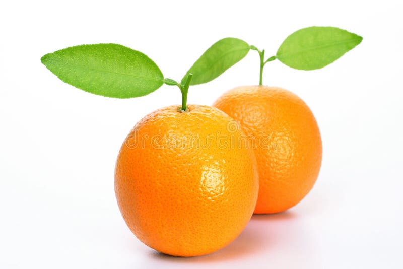 Orange nya frukter arkivfoto