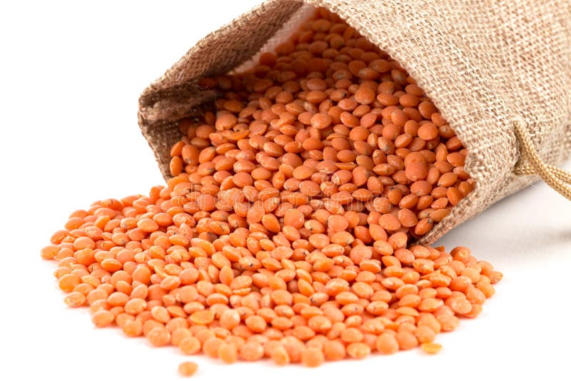 Orange organic lentils stock photo. Image of fresh, detail 241337746