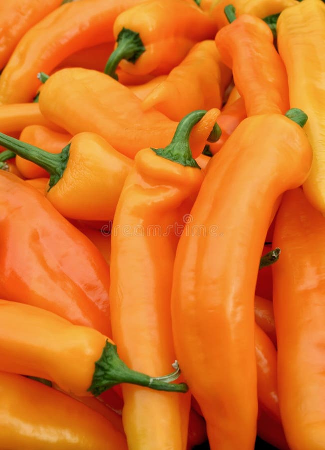 Orange paprika stock photo. Image of sweet, orange, vegetable 2100304