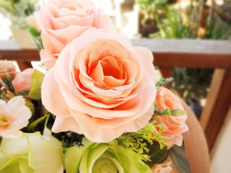 Orange Pastel Rose Bouquet, Stock Image Image of colorful, close