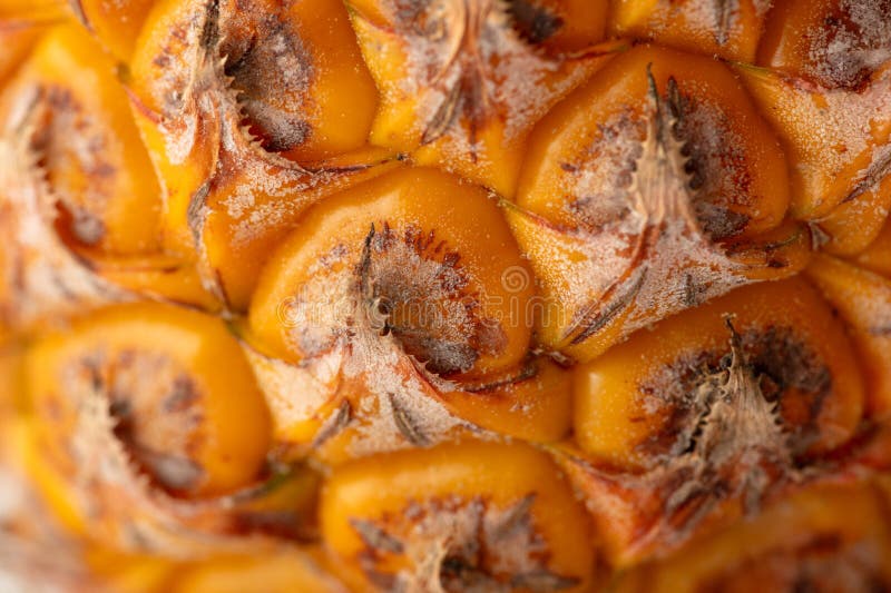 Orange Peel of a Ripe Pineapple As an Abstract Background. Texture ...