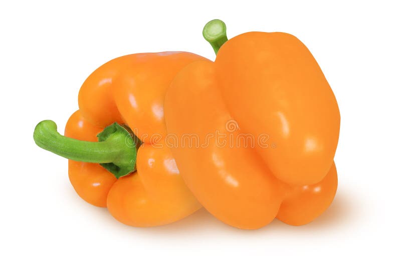 Orange Peppers on Isolated White Background Stock Image Image of