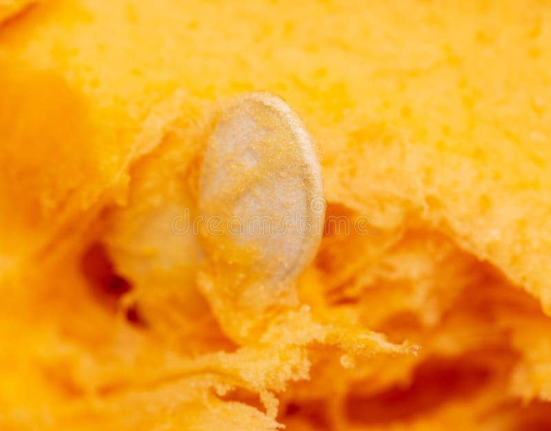 Orange Pulp with Seeds in a Pumpkin As Background Stock Image Image