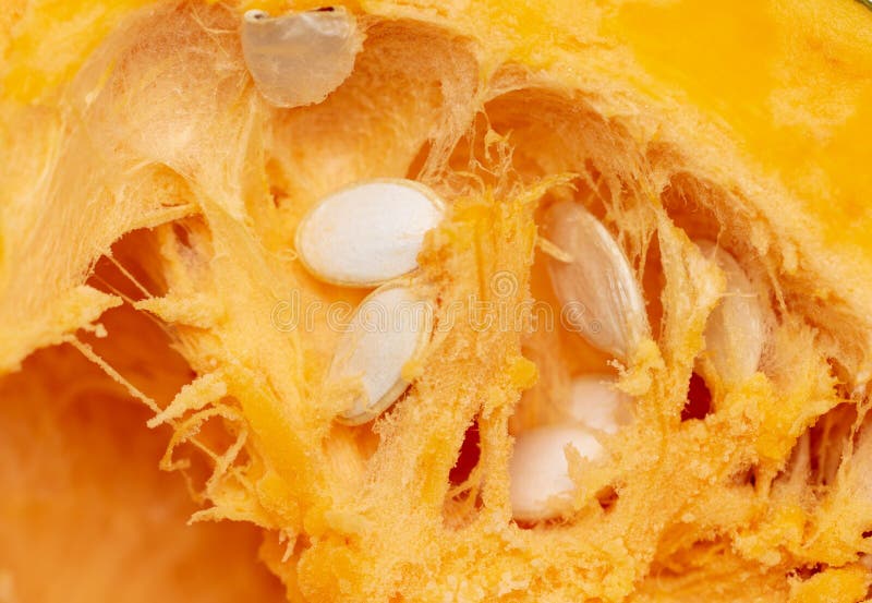 Orange Pulp with Seeds in a Pumpkin As Background Stock Photo Image