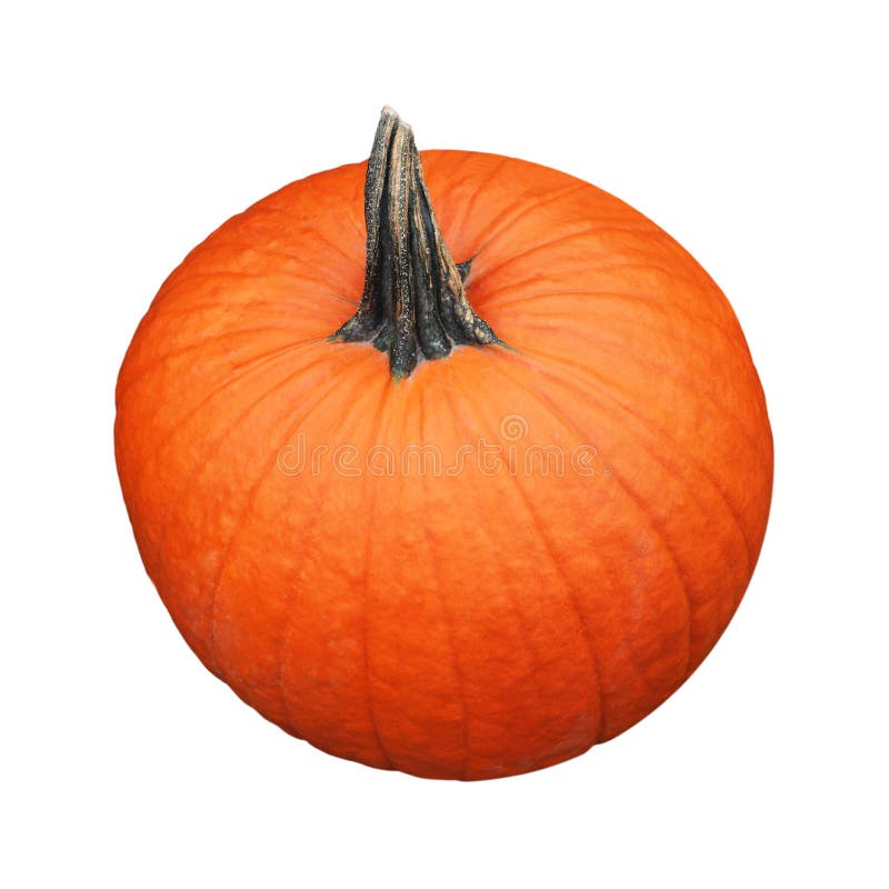 Single fresh orange pumpkin isolated on white. Single mini stock images, royalty-free photos and pictures