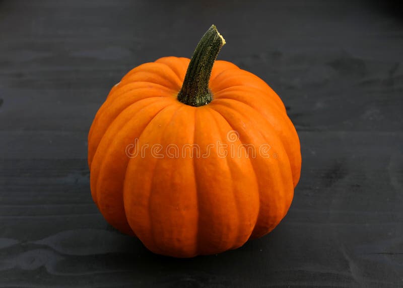 Orange Pumpkin on Black Background Stock Photo Image of pumpkin, seasonal 208725996