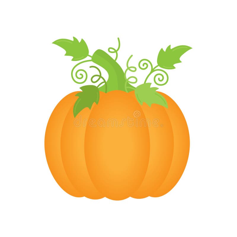 Orange pumpkin vector illustration icon