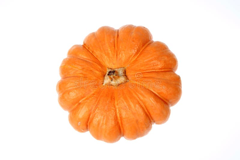 The Orange Pumpkin Isolated Stock Photo Image of yellow, pumpkin