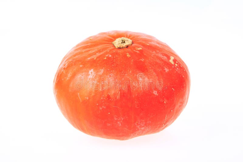 The Orange Pumpkin Isolated Stock Image Image of agriculture, autumn