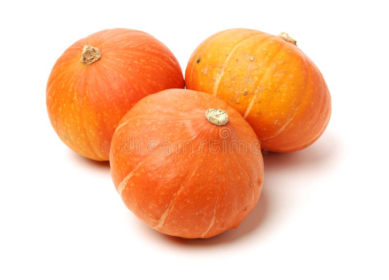 Orange pumpkin stock photo. Image of ripe, hard, hollow 163794484