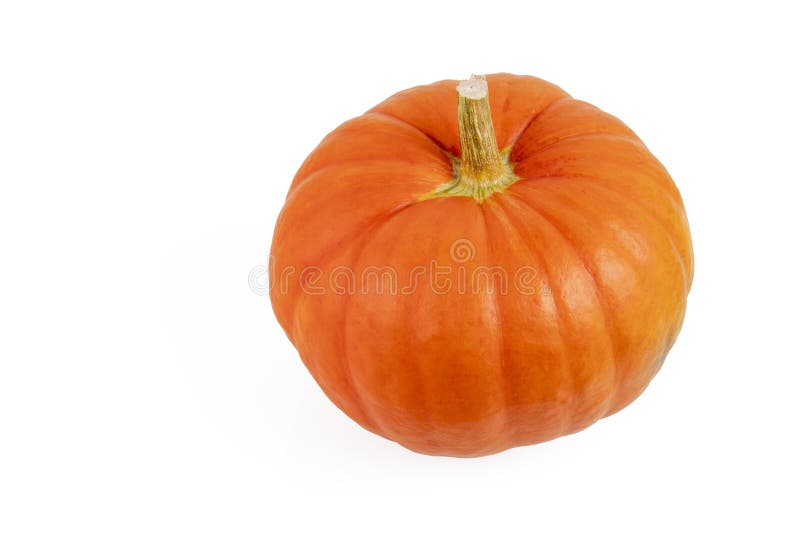 Orange Pumpkin with Shadow on a White Isolated Background Stock Image