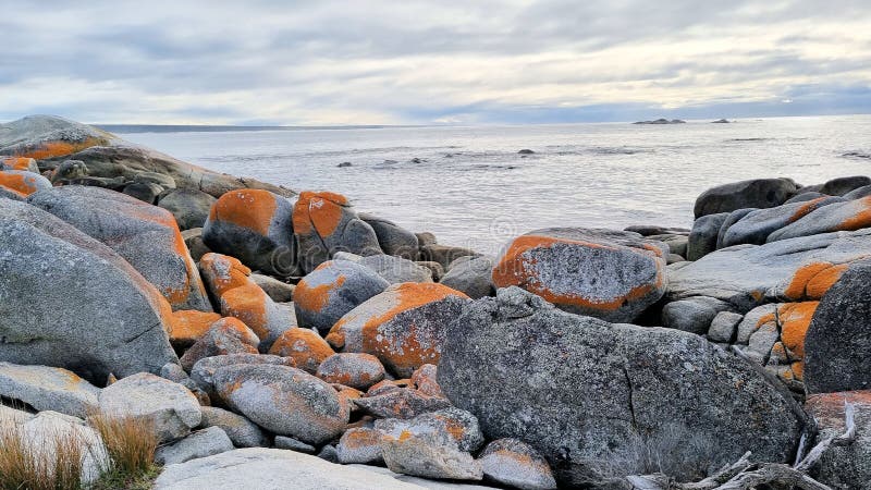 Orange Rocks of the Bay of Fires overlooking the shore Tasmania Australia