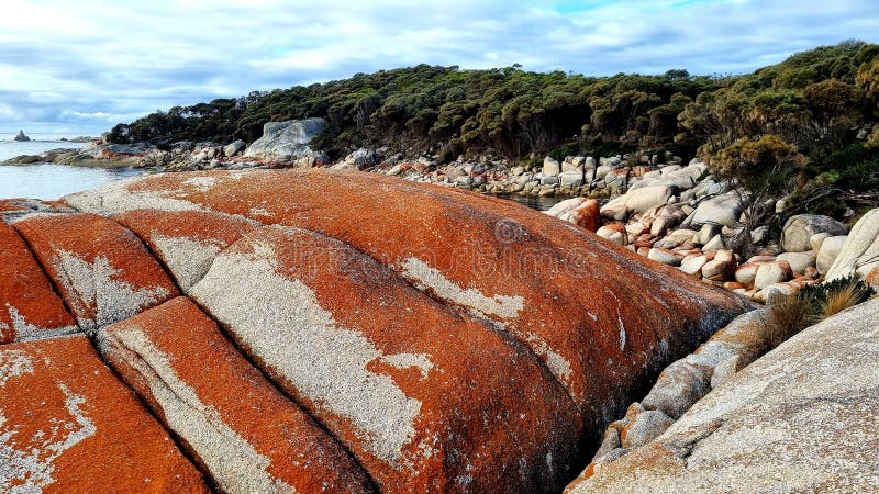 Orange Rocks of the Bay of Fires overlooking the shore Tasmania Australia