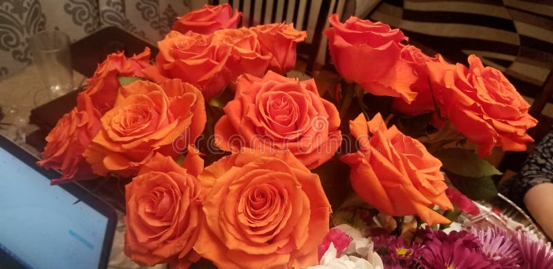 Orange rosa bukettzoom arkivfoton Orange rosa bukettzoom arkivfoton