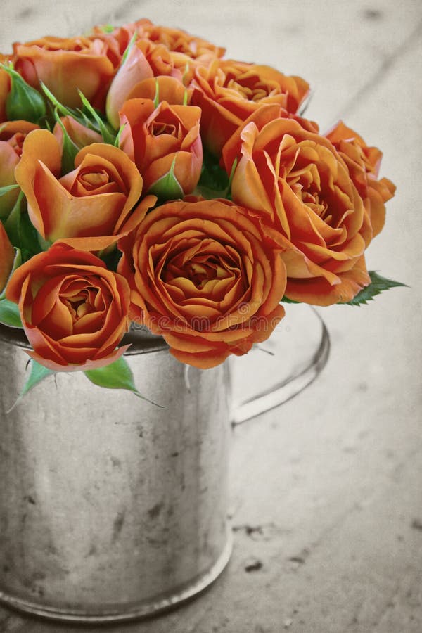Orange rose on black and white background