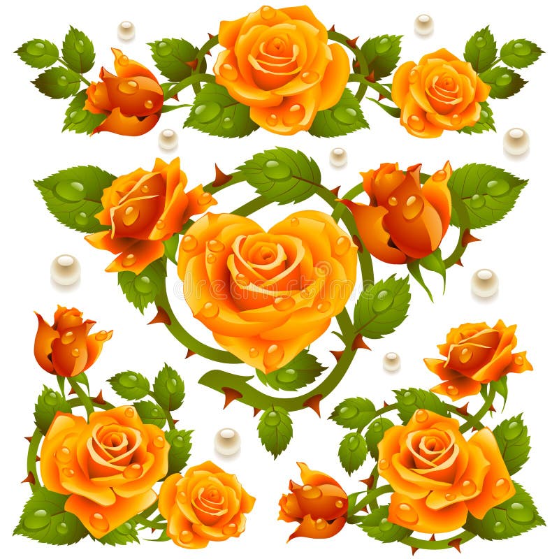 Orange roses set stock vector. Illustration of modern 12594573