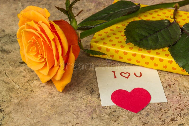 1 1 I Love You Rose Photos Free Royalty Free Stock Photos From Dreamstime