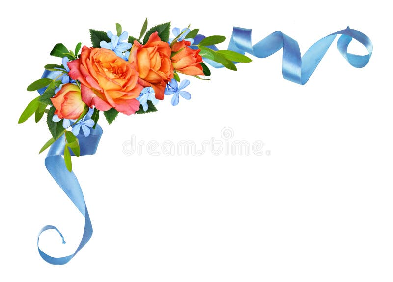 Black silk ribbon with rose design Royalty Free Vector Image