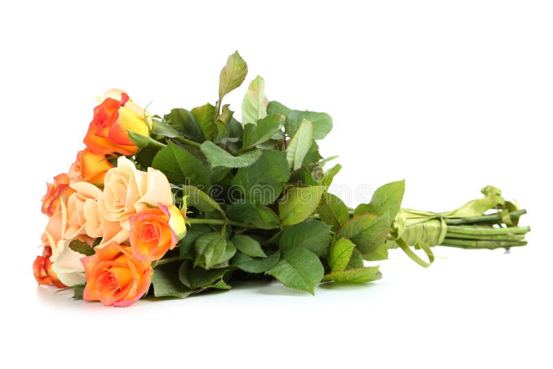 Orange roses stock image. Image of gift, beautiful, natural 60679481